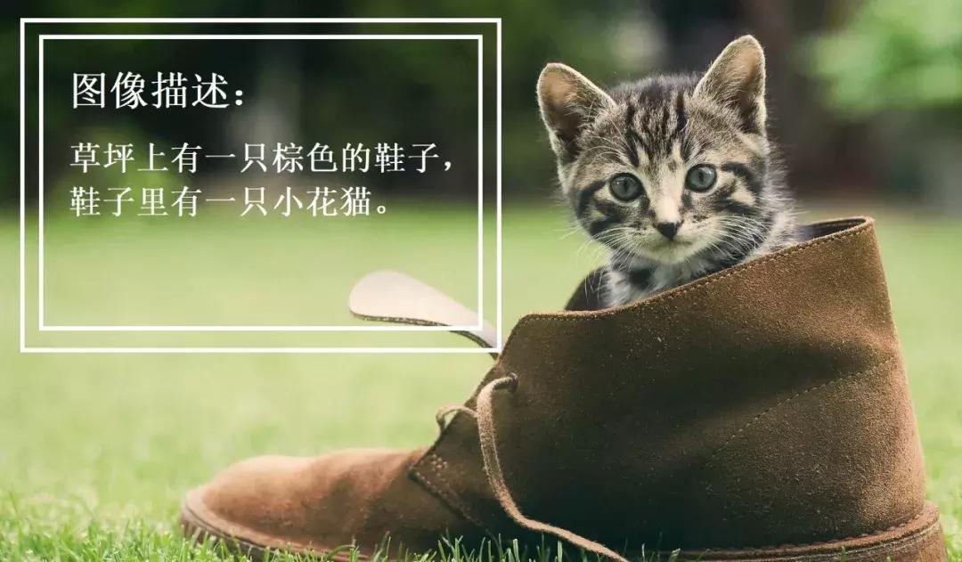 人工智能和机器视觉方面知识,计算机视觉属于人工智能吗