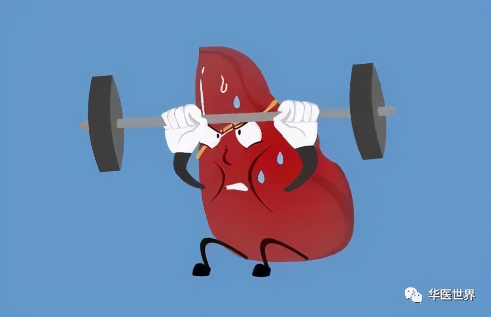 最好的中医治疗卵巢巧克力囊肿,卵巢巧克力囊肿治疗的好方法