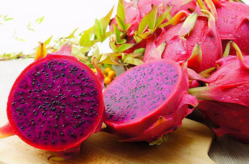 公柯基一岁半突然尿血但精神正常,母柯基老是尿血怎么回事啊