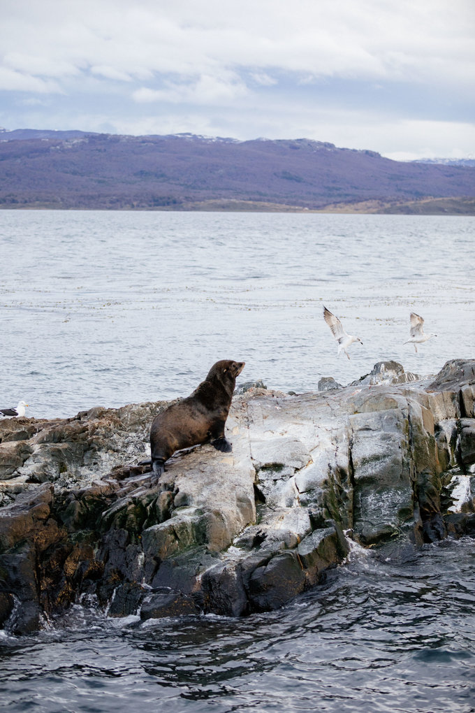 跟着电影游埃及,黎耀辉不如我们从头来过电影台词