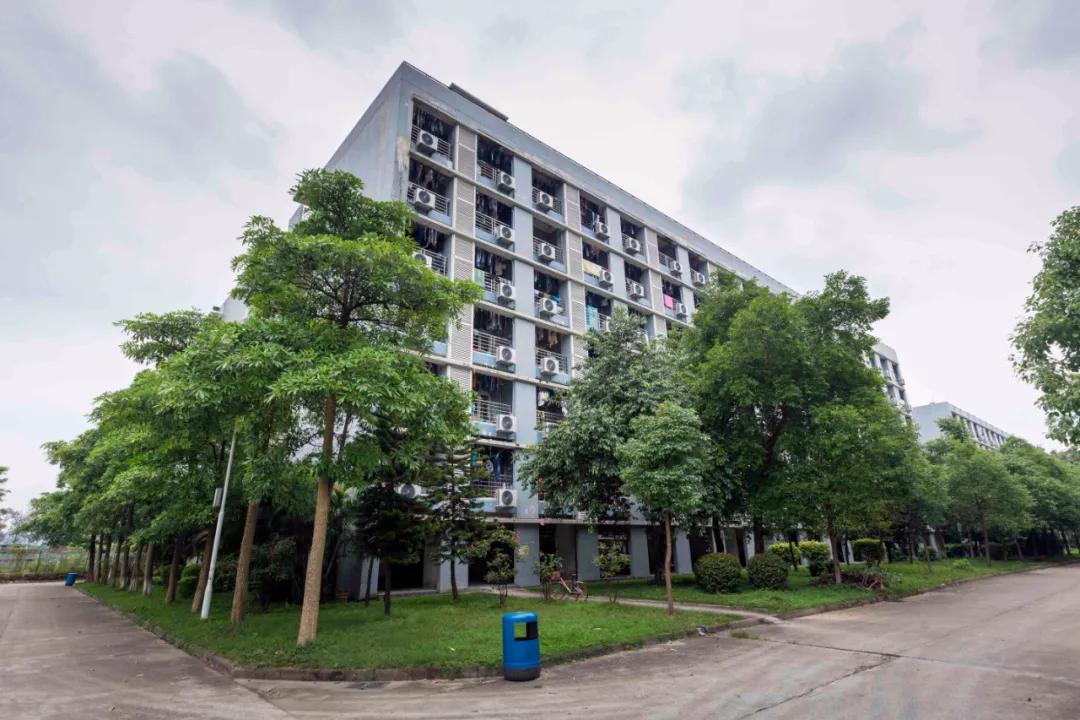 报考华南农业大学,华农报录比