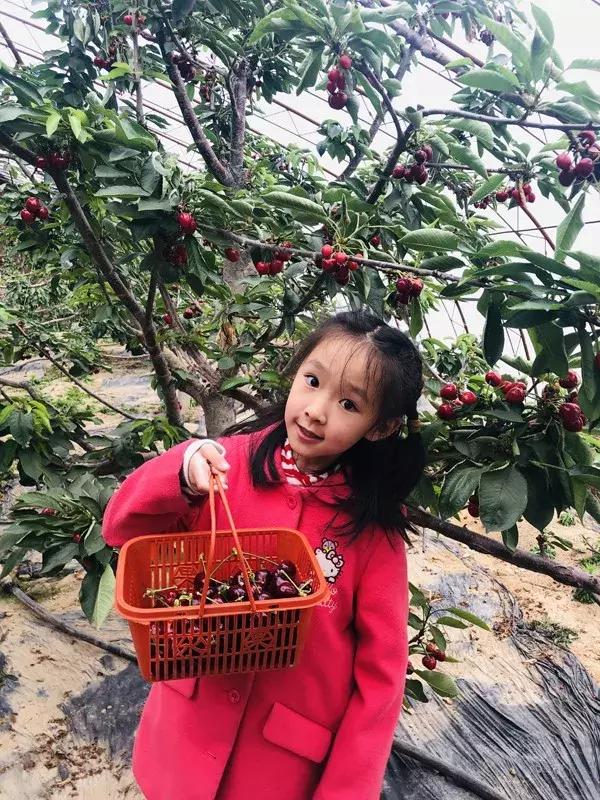 辽源东丰县五一游,辽源十一周边一日游的绝佳去处