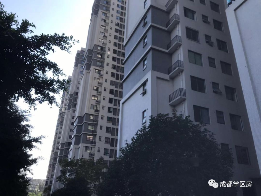 天府新区第五小学排名,天府新区a区学区房