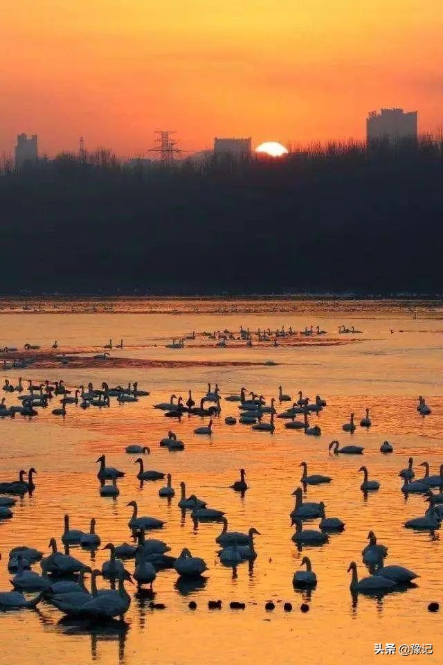 来过才知道东北的夏天别有特色,来过才知道美不美