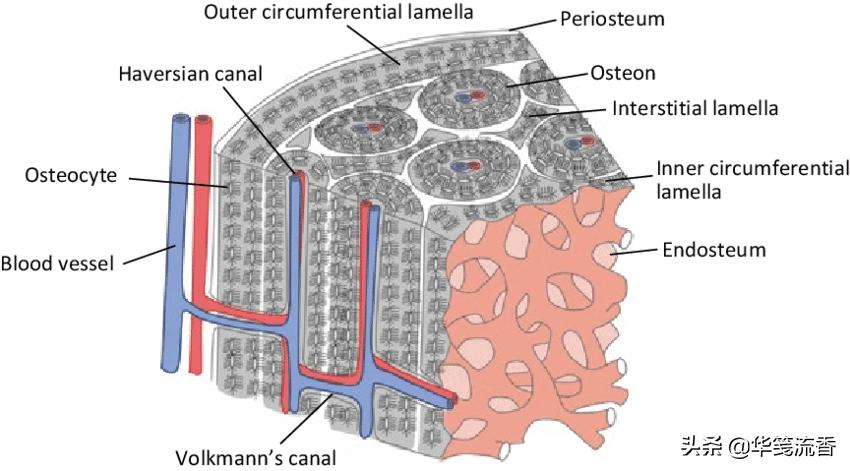 太阳系中还有其他水球吗,太阳系宇宙中有多少水
