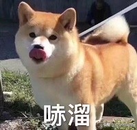 日漫女性角色历史排行榜,日漫几个霸气姐姐