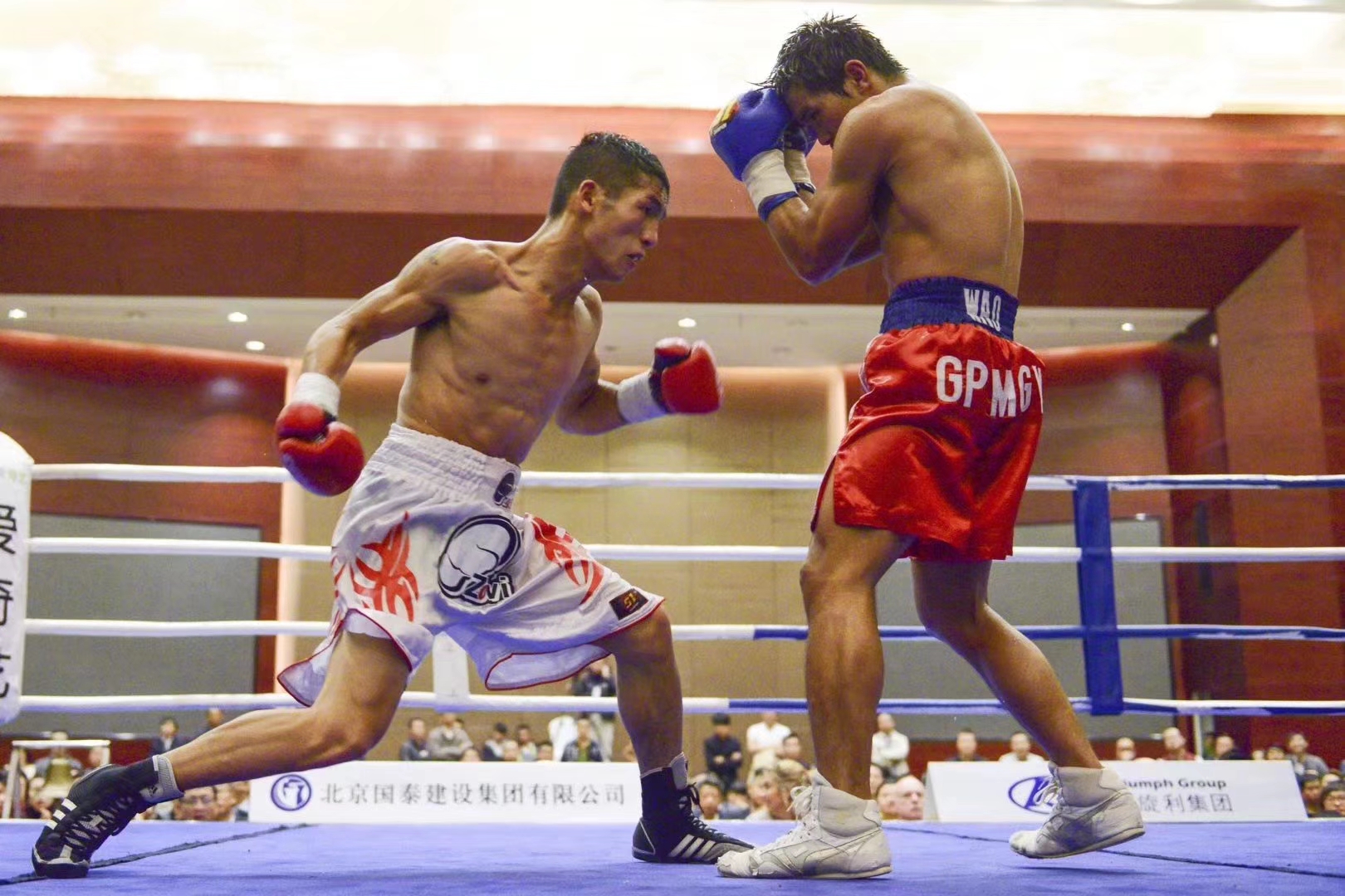 中国拳击拳王水平,中国拳王点评散打