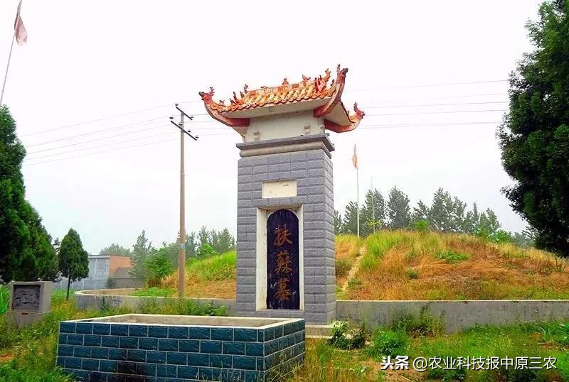 扶苏历史讲解,扶苏历史深度解析