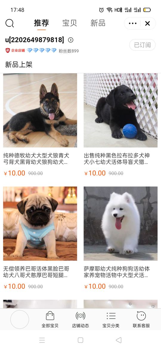 卖星期狗被曝光,黑心商家卖的星期狗如何处理