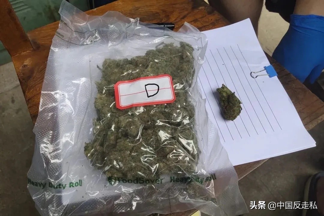 中国海关缉私案件2020,国门利剑2019十大案件