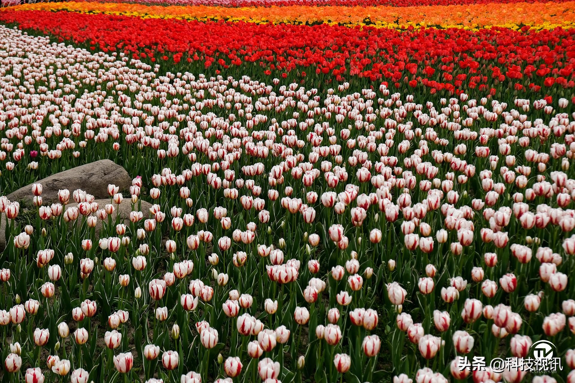 富士X-T30二代评测,富士x-t30开机键在哪儿