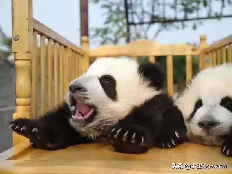 “兴正礼乐，度制于是政”，国礼是政治的媒介？