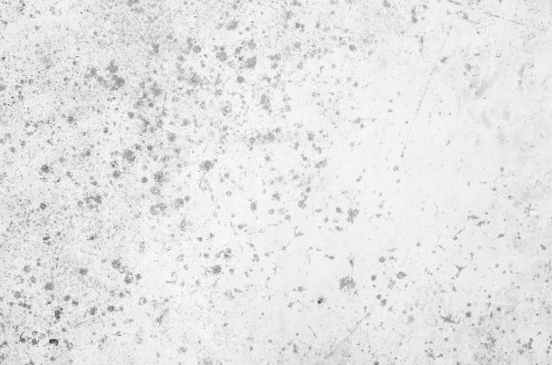 高温天气霉菌怎么处理,南方回南天除湿除霉