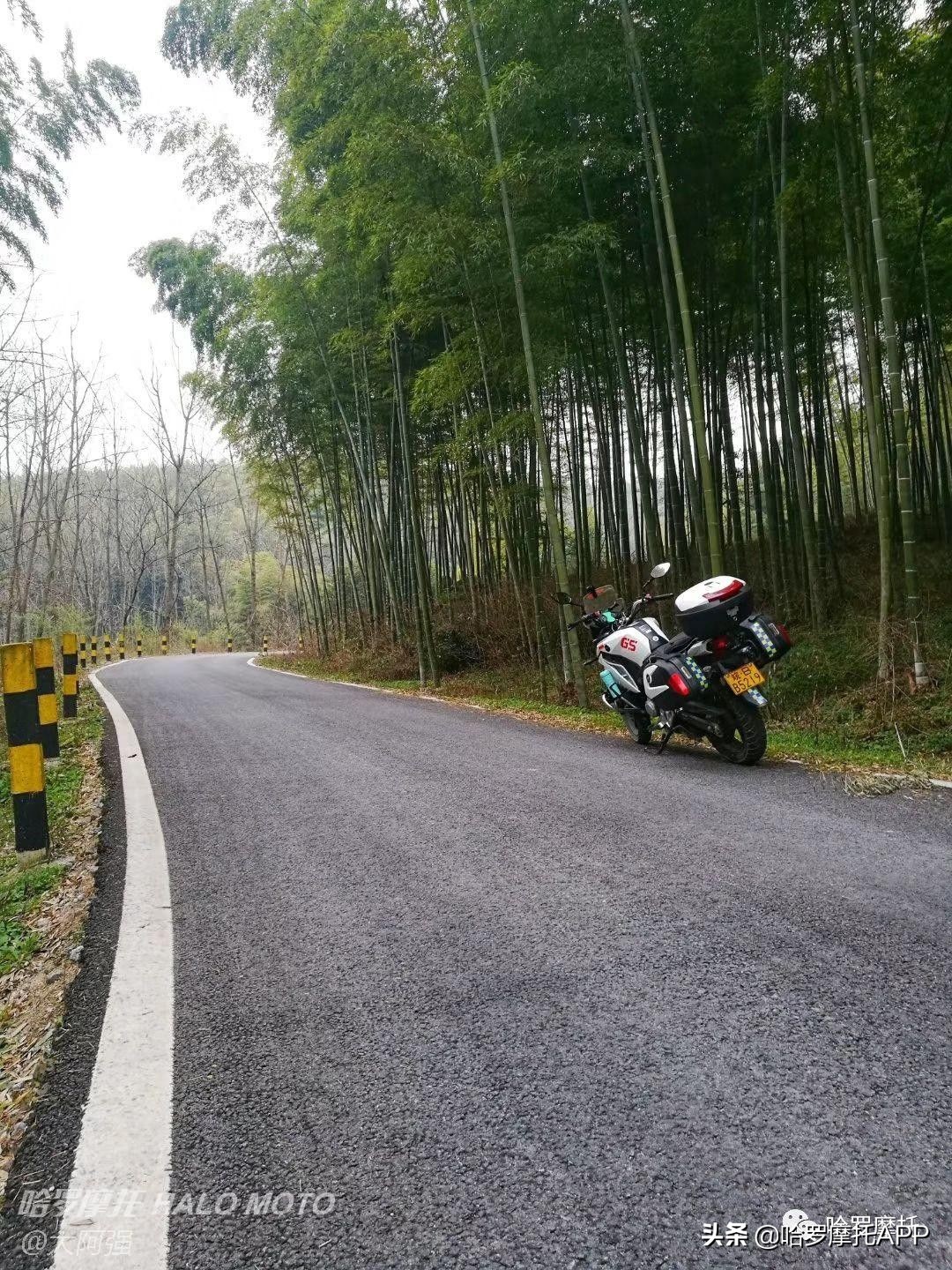 2020款战鹰190x国四版有几个版,本田战鹰190x和猛鸷图片对比