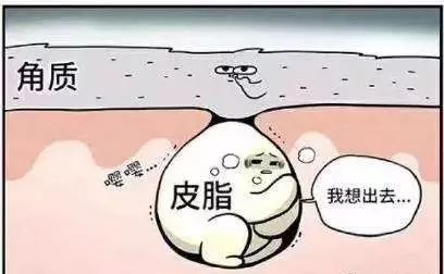 痘痘肌内调药膳,痘痘肌自律期应该怎么吃