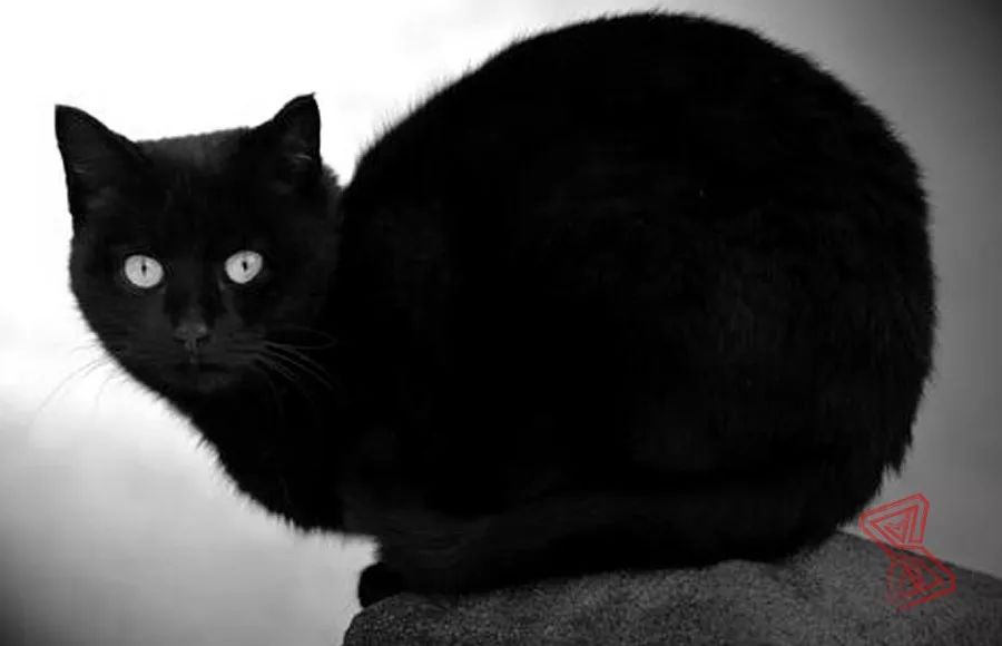 拾疑者-那，我把人妖给睡了—上部