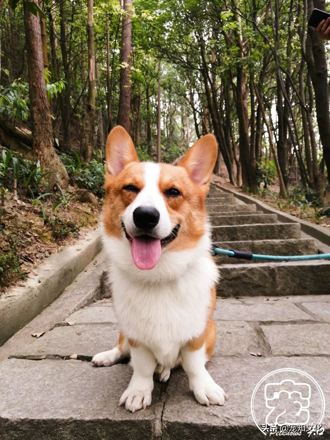 广州南沙黄山鲁森林公园攻略,广州黄山鲁森林公园好玩吗