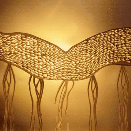 娇兰复原蜜最佳搭配,娇兰的复原蜜怎么样