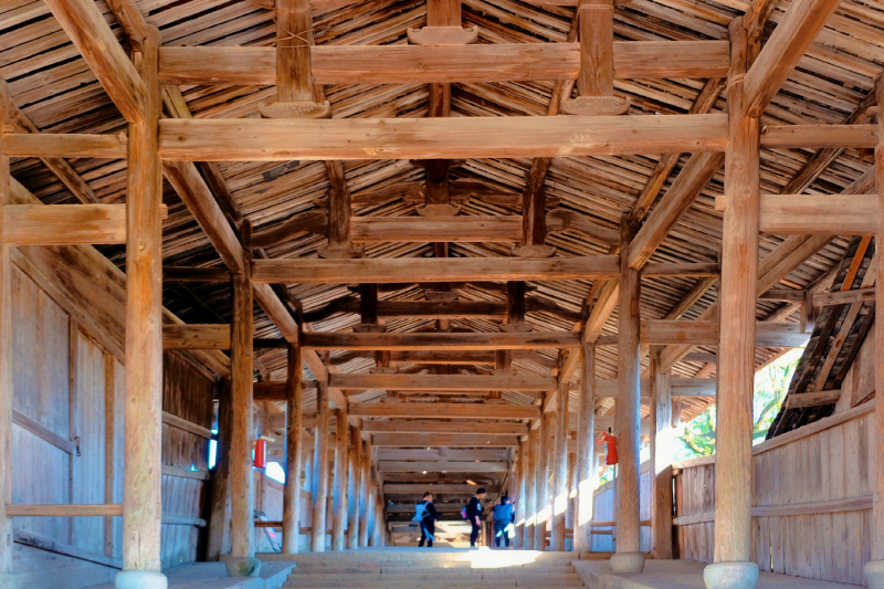 温州文成自驾游攻略最佳路线推荐,温州旅游攻略泰顺路线推荐