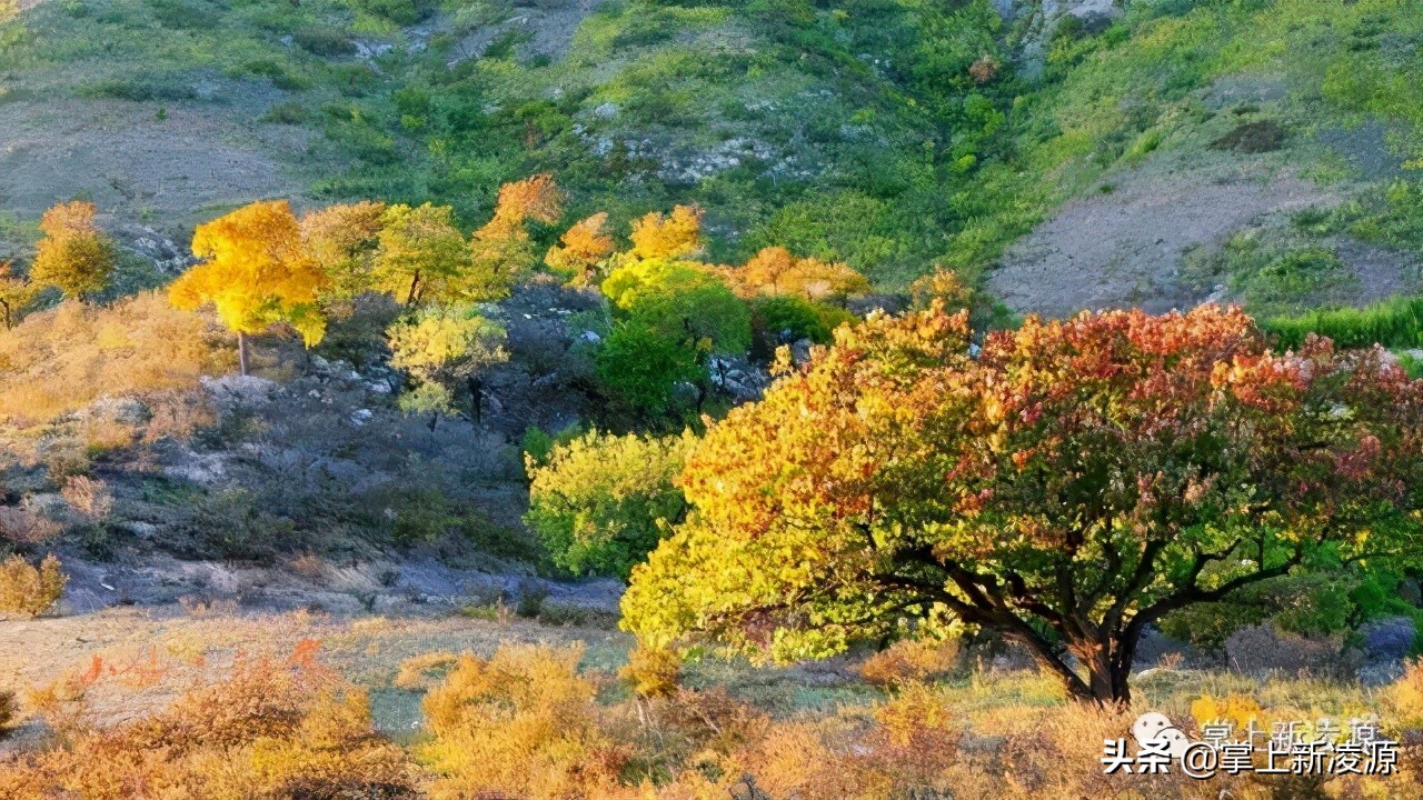 走遍凌源之大美金花山