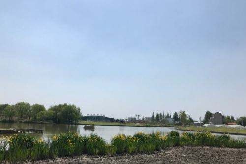 鹧鸪天-碧云花园十里水乡