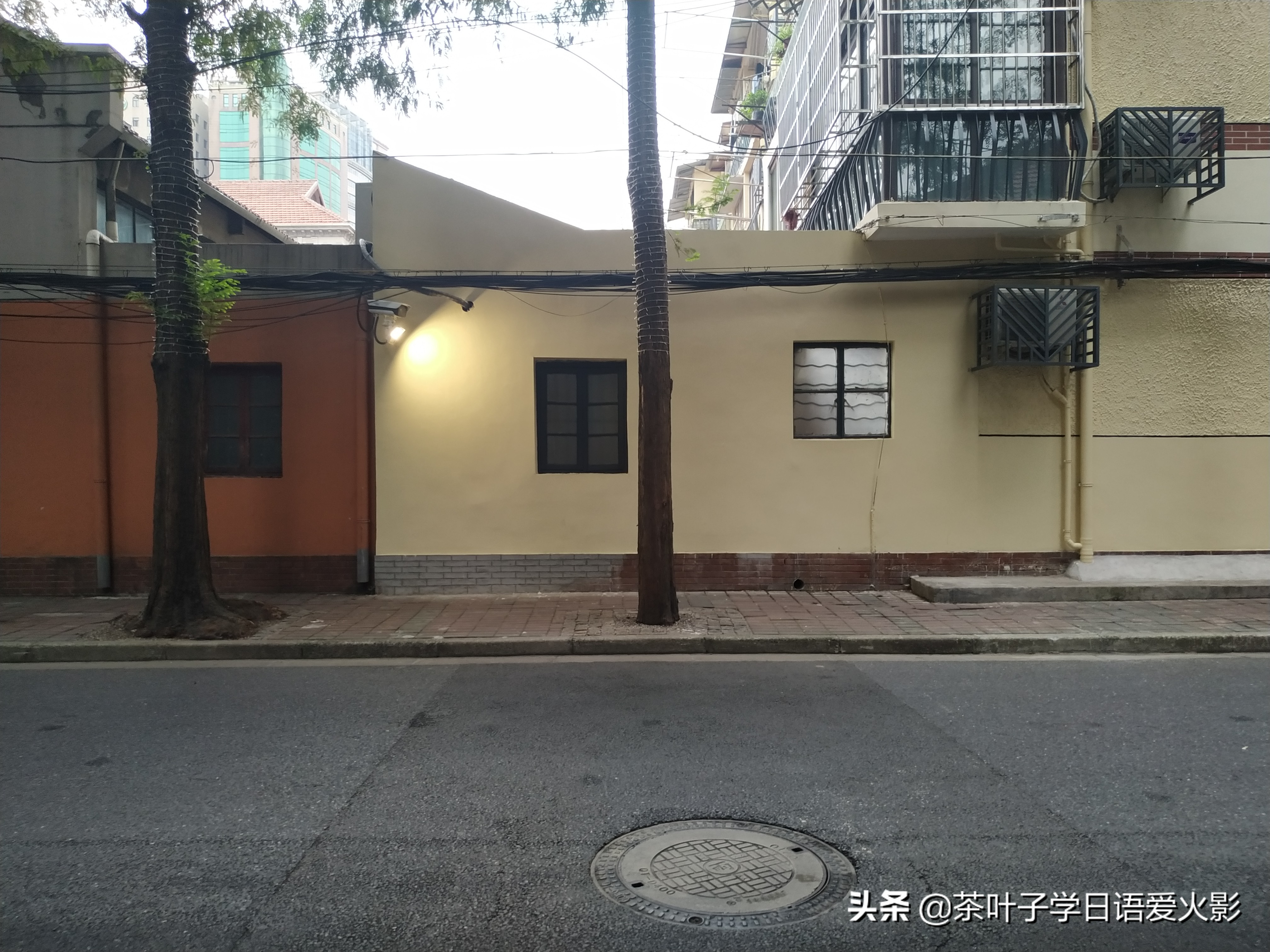 上海甜爱路，打卡不要错过哦，还有鲁迅公园