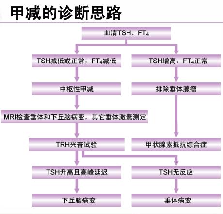 什么是甲减最严重的后果,甲减的症状及判定指标