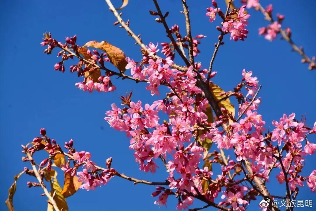 云南人注意啦!25种方法检验你有没有在昆明生活过,一看真灵!