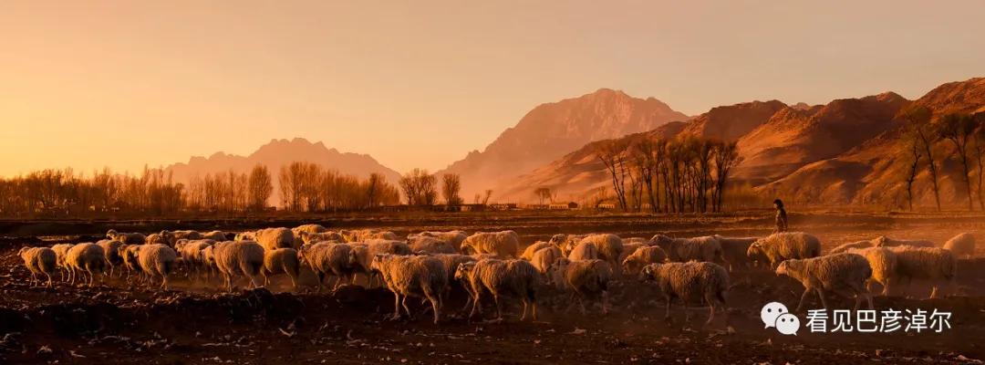 内蒙古巴彦淖尔有多美,巴彦淖尔有多美