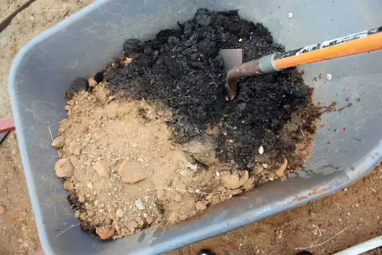 营养土养花专用植物土批发,砖土和营养土养花哪个好