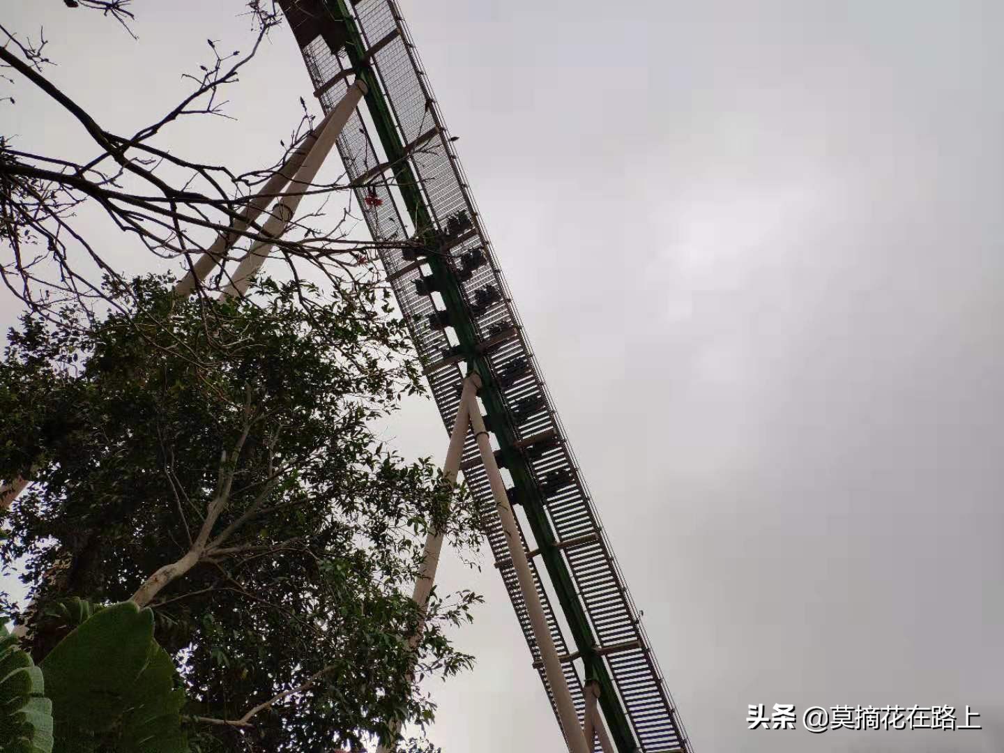 推荐去珠海长隆旅游的原因,一场说走就走的旅行珠海长隆