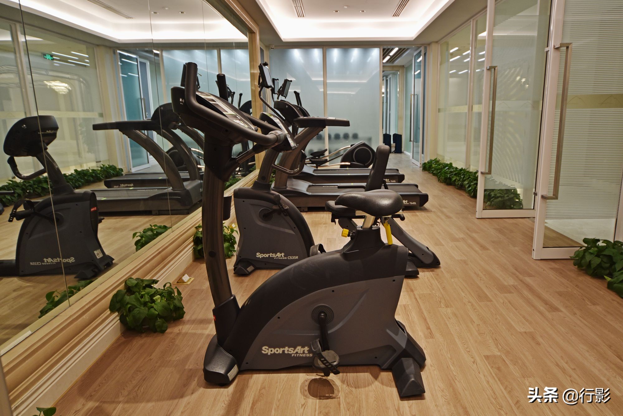 紫金山庄风景,南京紫金山风景区秋韵之美