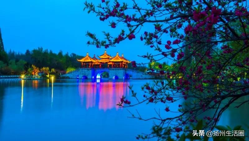 火了！扬泰机场又出名了