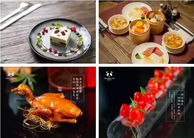 杭州1.5h就有不输清迈的丛林树屋