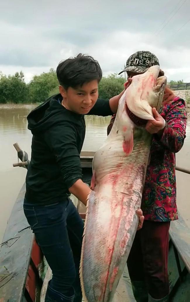 欧洲巨鲶中国能养活吗,很多钓鱼人贪得无厌