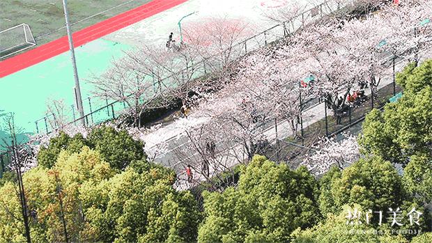 上海一日游古镇最佳路线免费景点,上海晚上十大必去免费景点