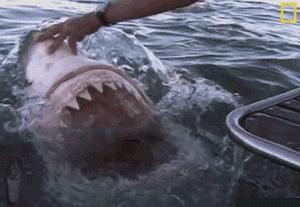 俄罗斯护肤品假货多吗,俄罗斯护肤品折扣