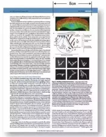 sci论文插图有什么作用,sci论文插图制作攻略