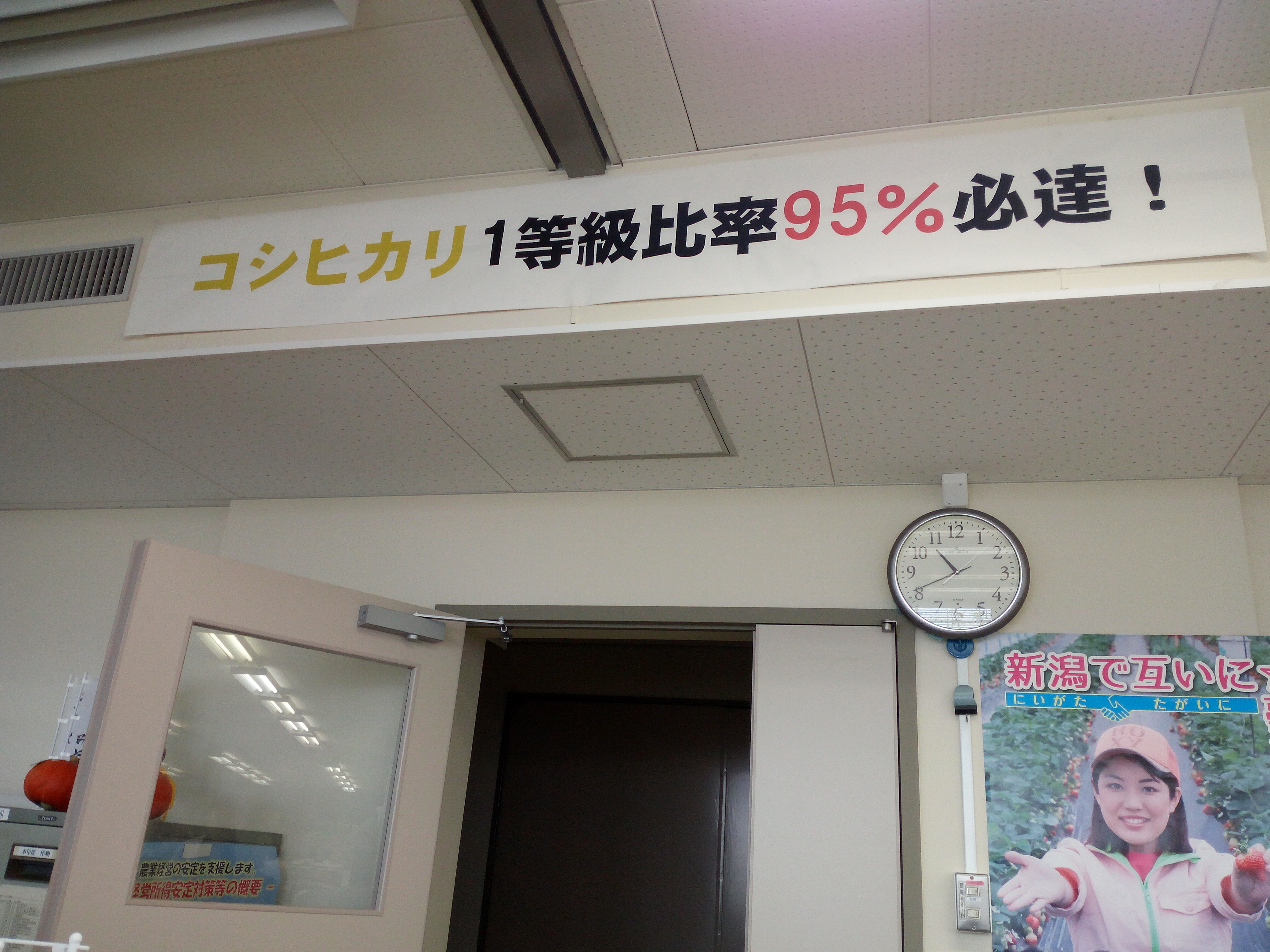 1公斤70元!日本大米在我国收智商税,还是物有所值?