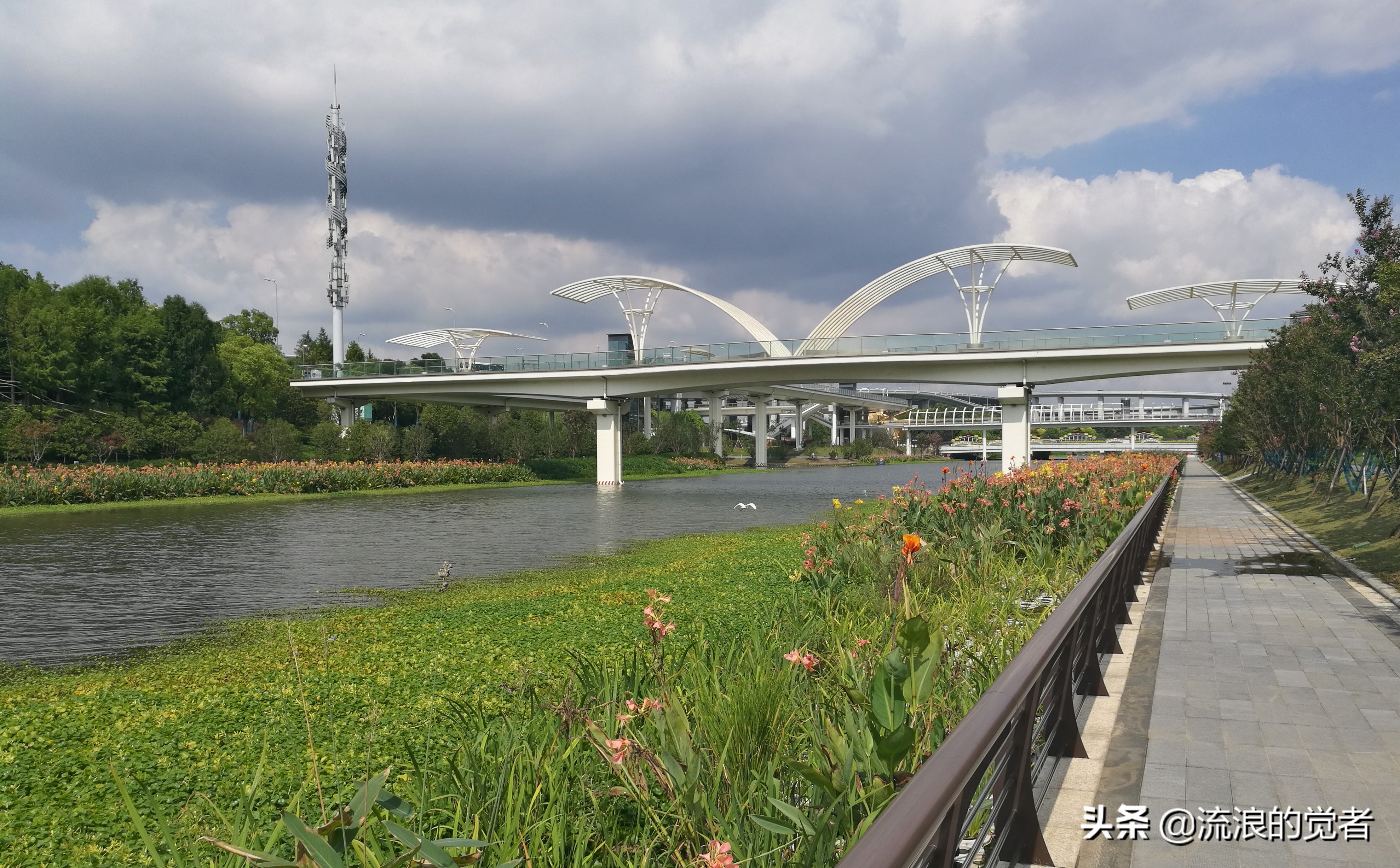 闹中取静的风景,闹中取静怡然自得