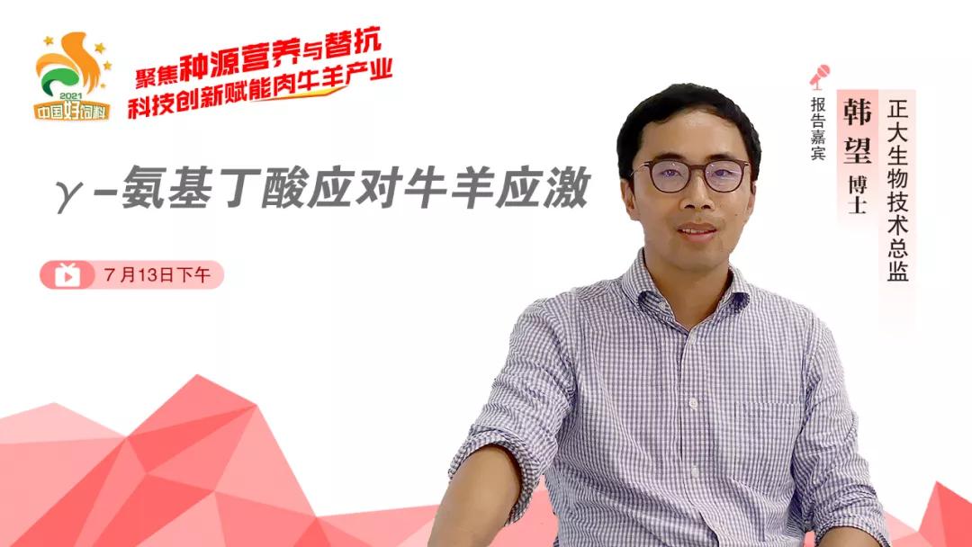 聚焦种源营养与替抗,7位专家分享“科技创新”赋能肉牛羊产业