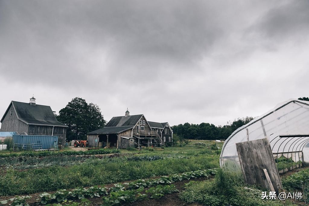美国农田最多的州,美国哪个州的农场土地肥沃