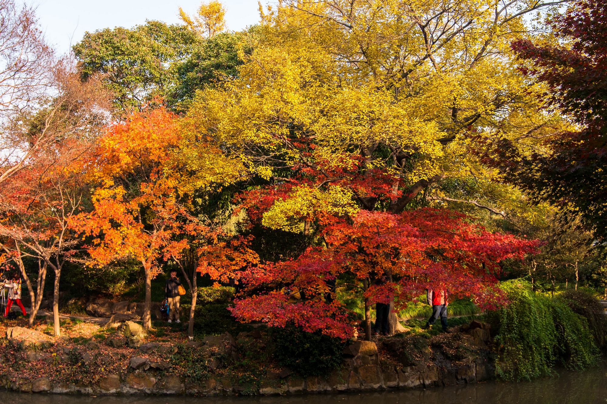 适合拍的古风景点,上海最值得拍照十条街