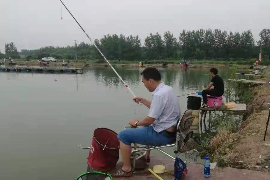 教你钓鲤鱼的独门技巧,钓鲤鱼注意五个细节和手法
