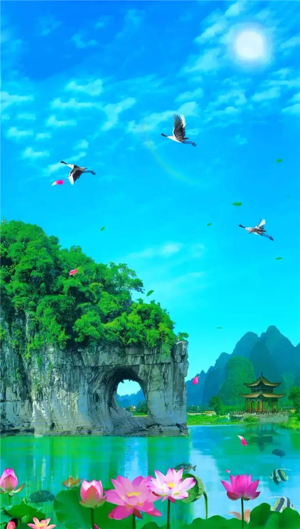 送你一张绝美壁纸,送你一张超美竖屏壁纸