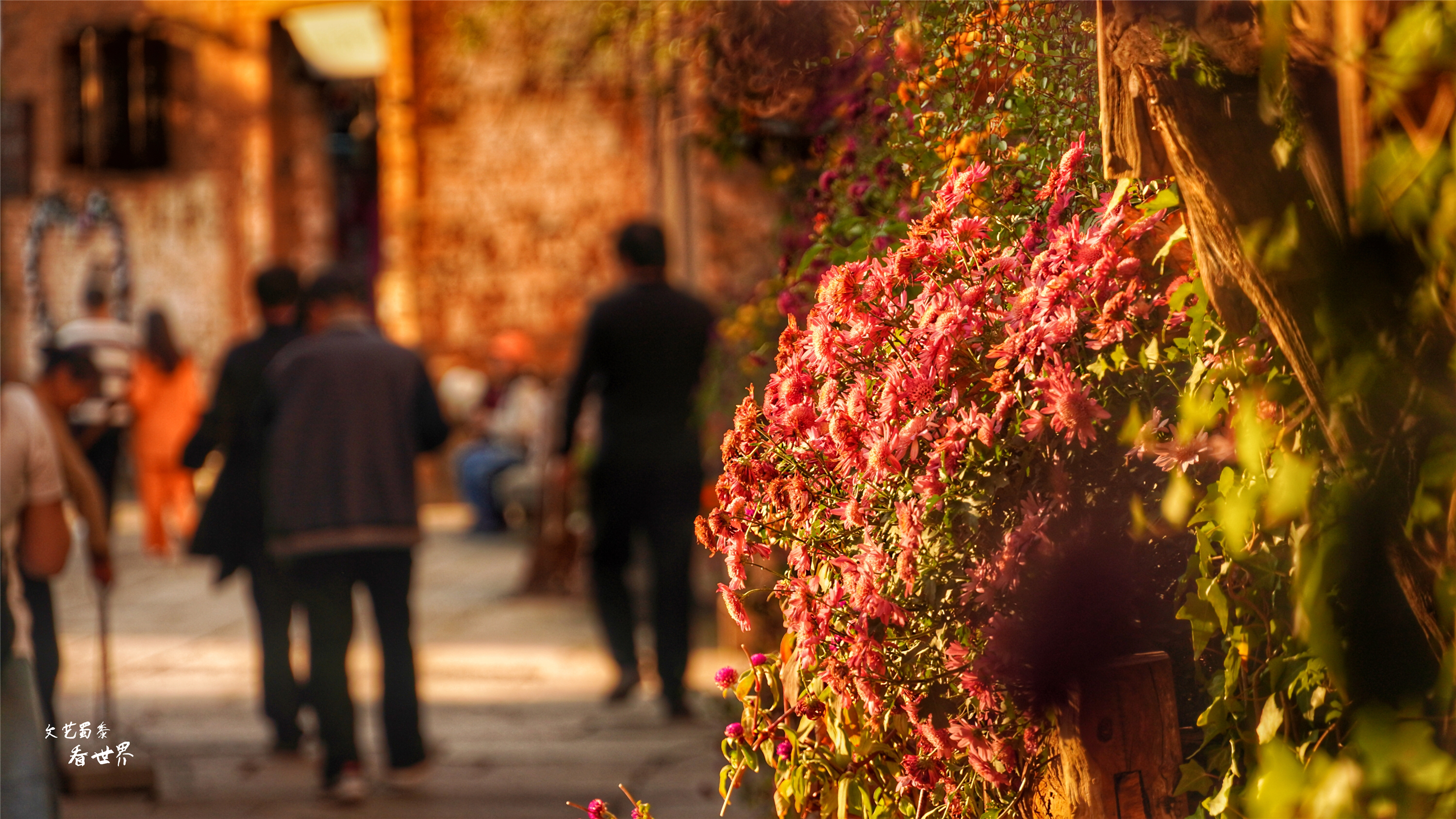 篁岭人山人海,江西婺源篁岭景区怎样玩最好