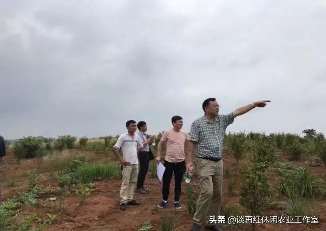 短短两年，荣华村挖掘地标品牌脱贫致富，乡村振兴并不遥远！