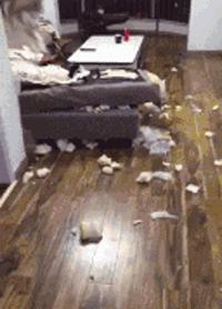 玉米地发现不明液体怎么办,玉米地发现的怪事