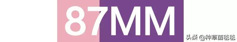 肖战王一博撞衫小众品牌,什么牌子的小众品牌好穿不撞衫