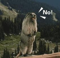 盘点某宝“辣鸡货”，这些单品不要买